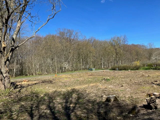 Fru Thales Väg 29 - Bild 3