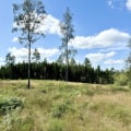 Lantligt läge med vacker utsikt och härligt solläge - Miniatyr 5